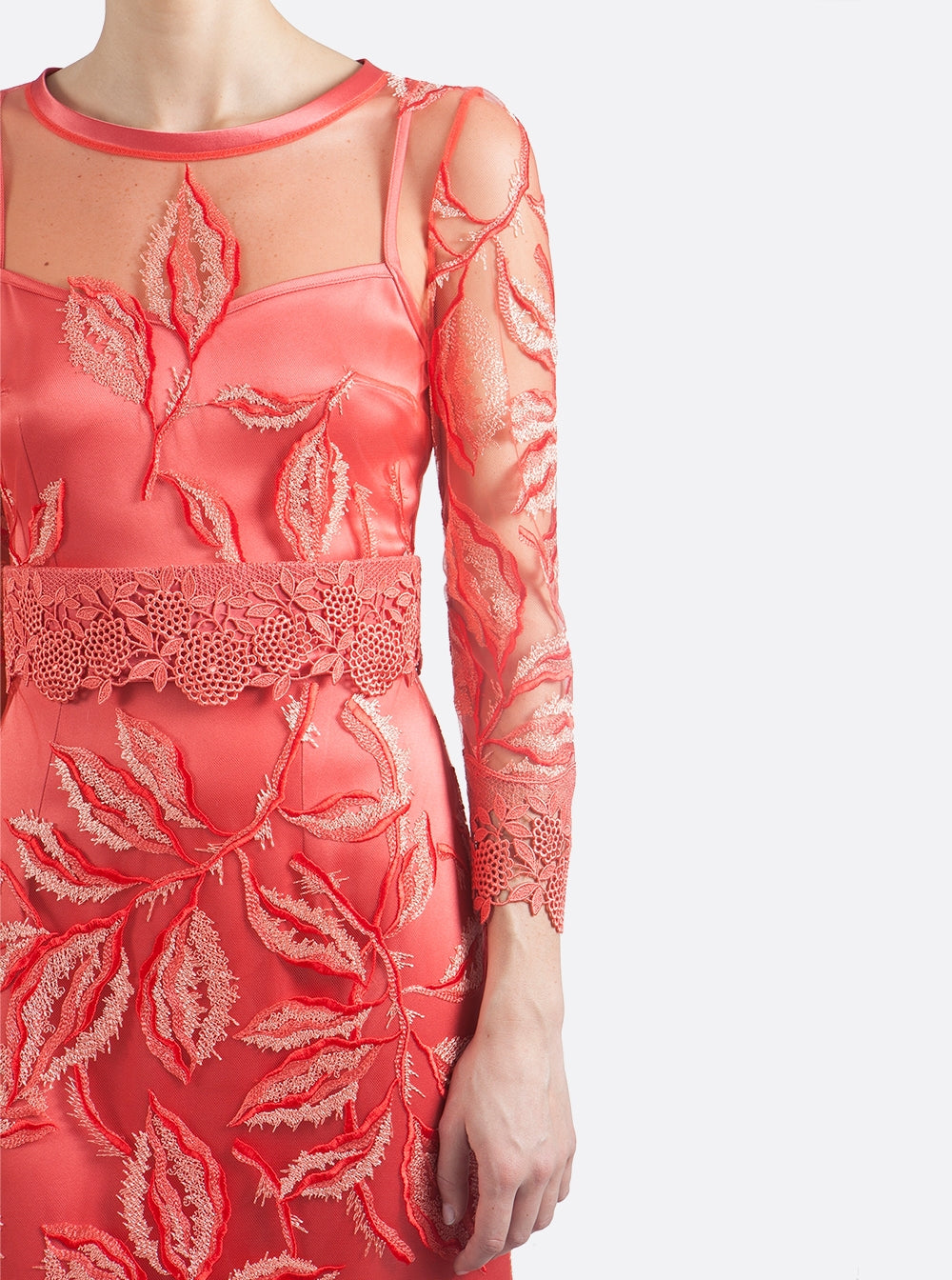 Foto color 254-coral - 14086