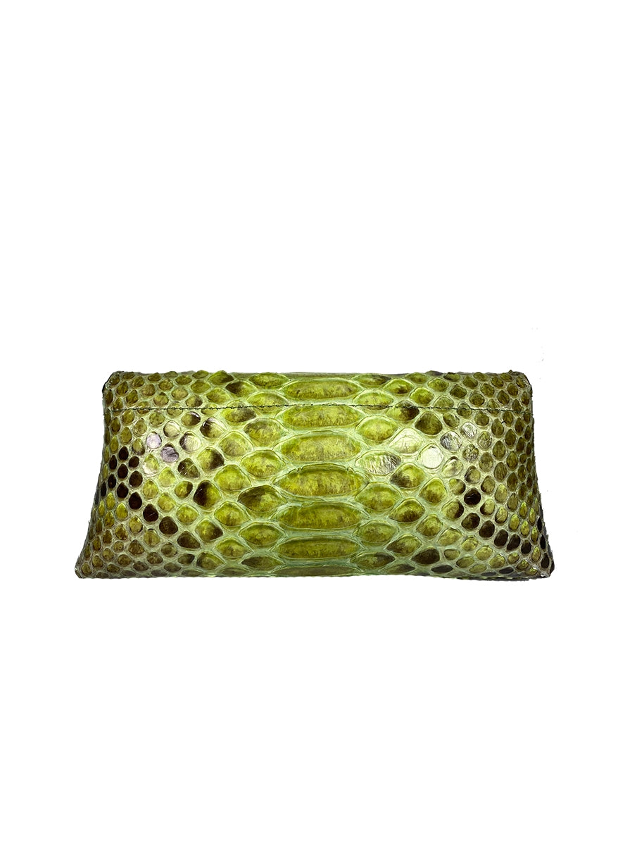 Foto color 256-mango - 17111