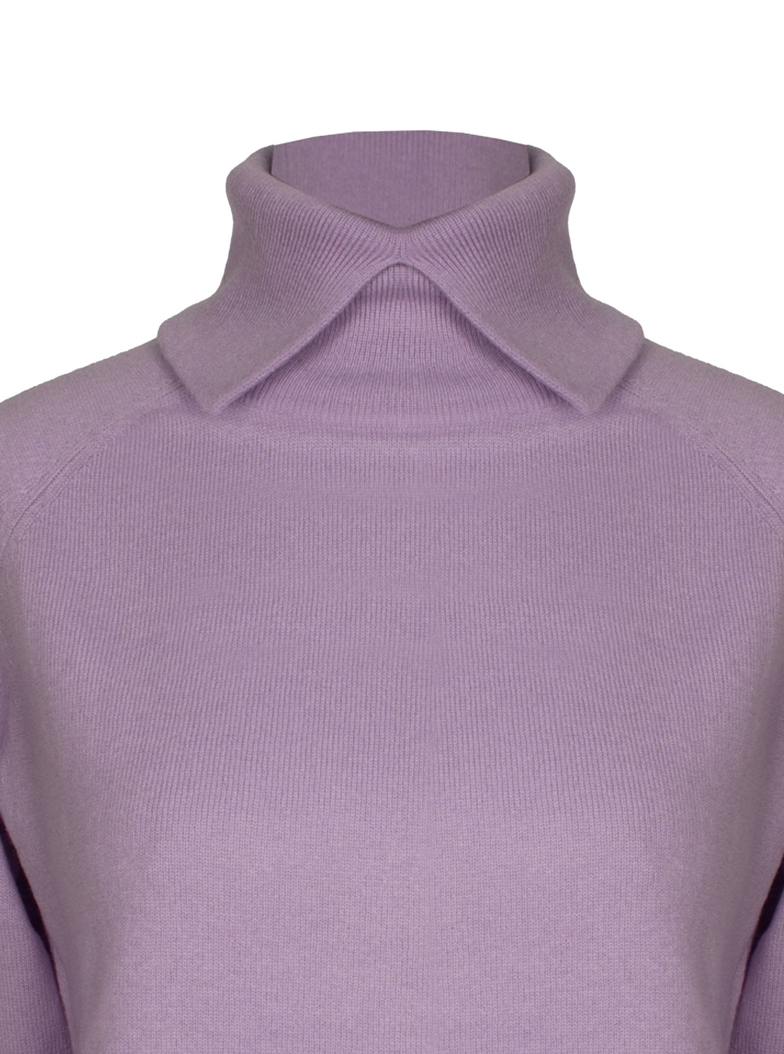 Foto color 424-lavanda - 19477