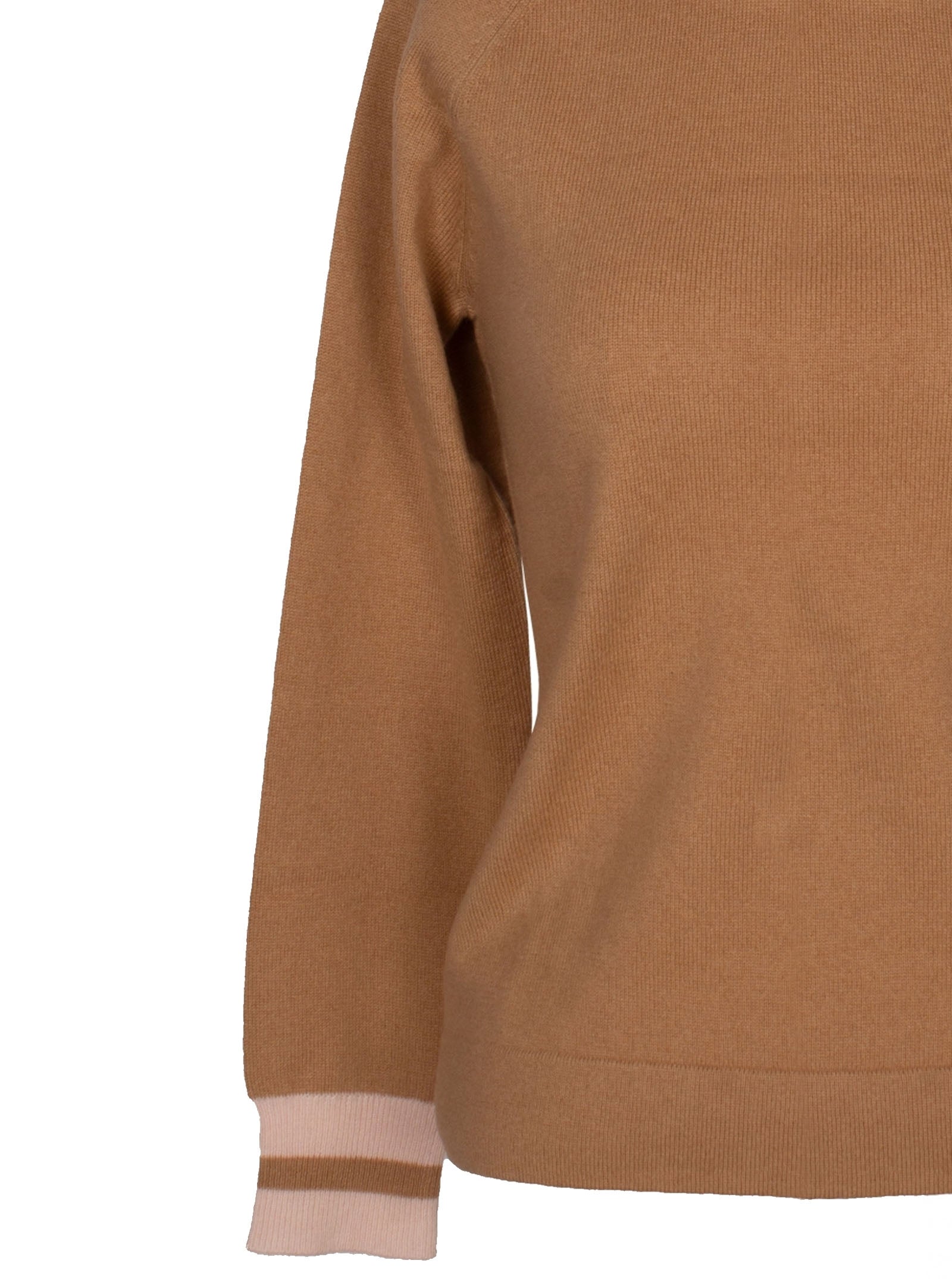 Foto color 554-camel - 19478