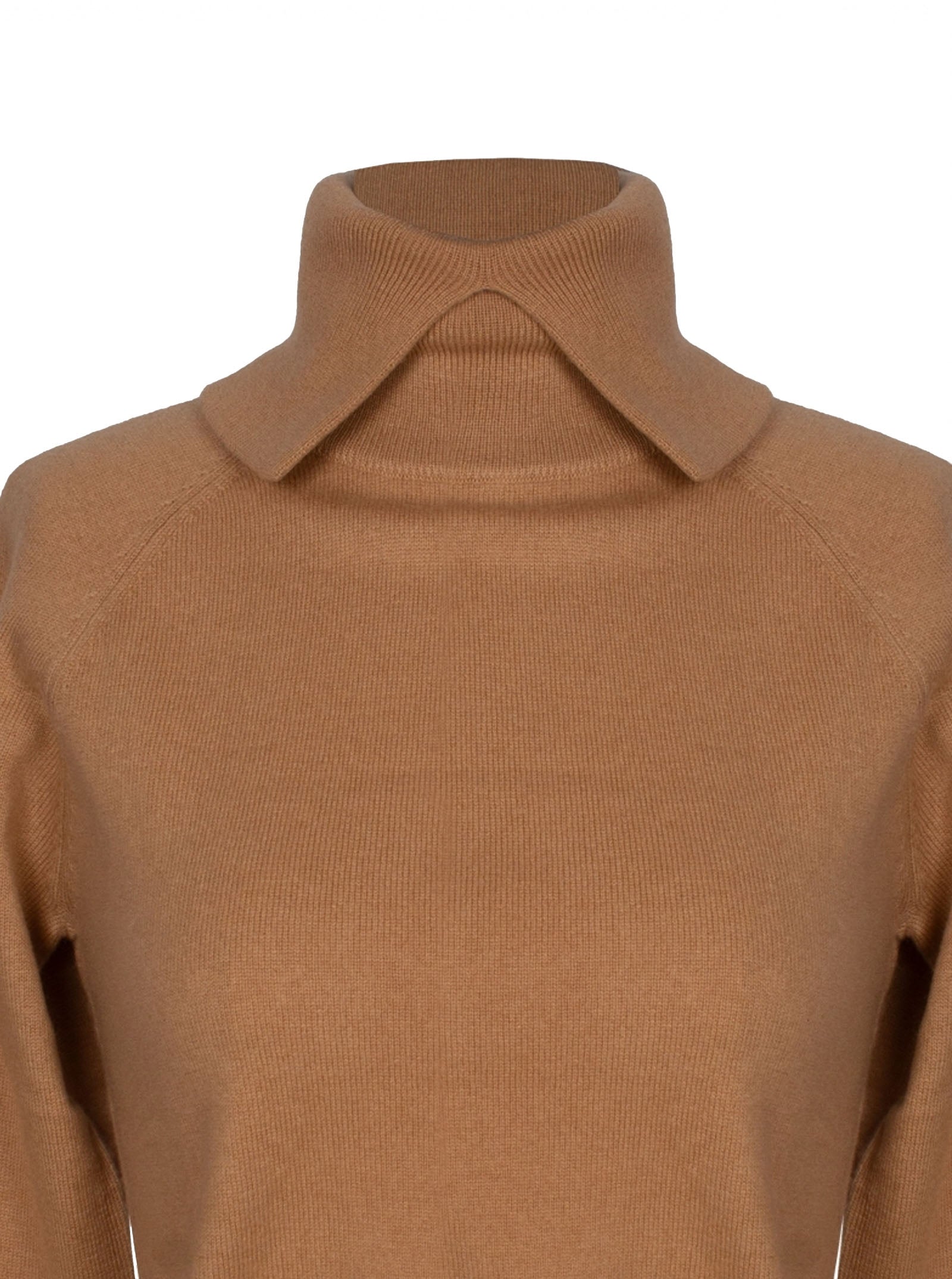 Foto color 554-camel - 19479