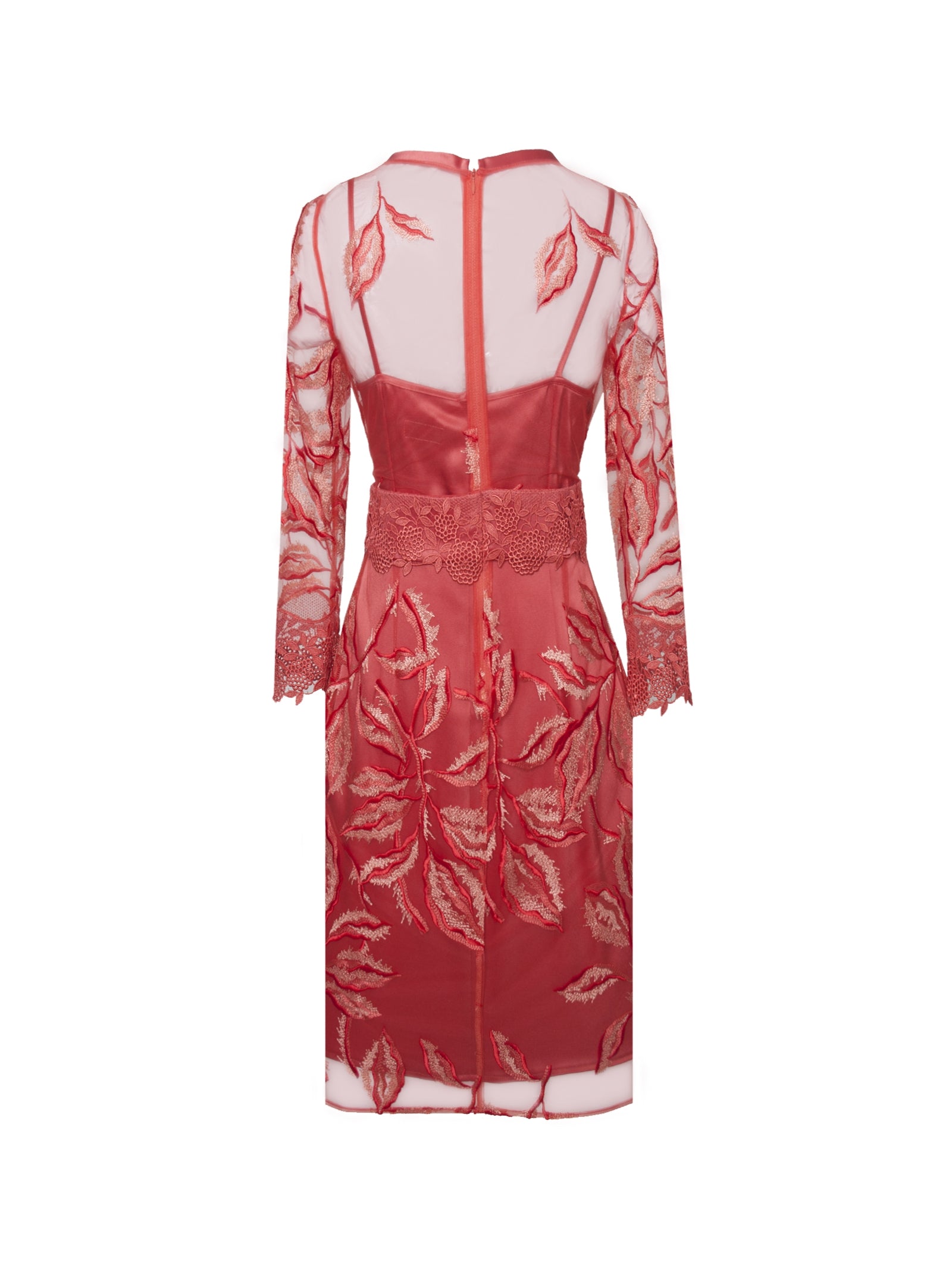 Foto color 254-coral - 7349